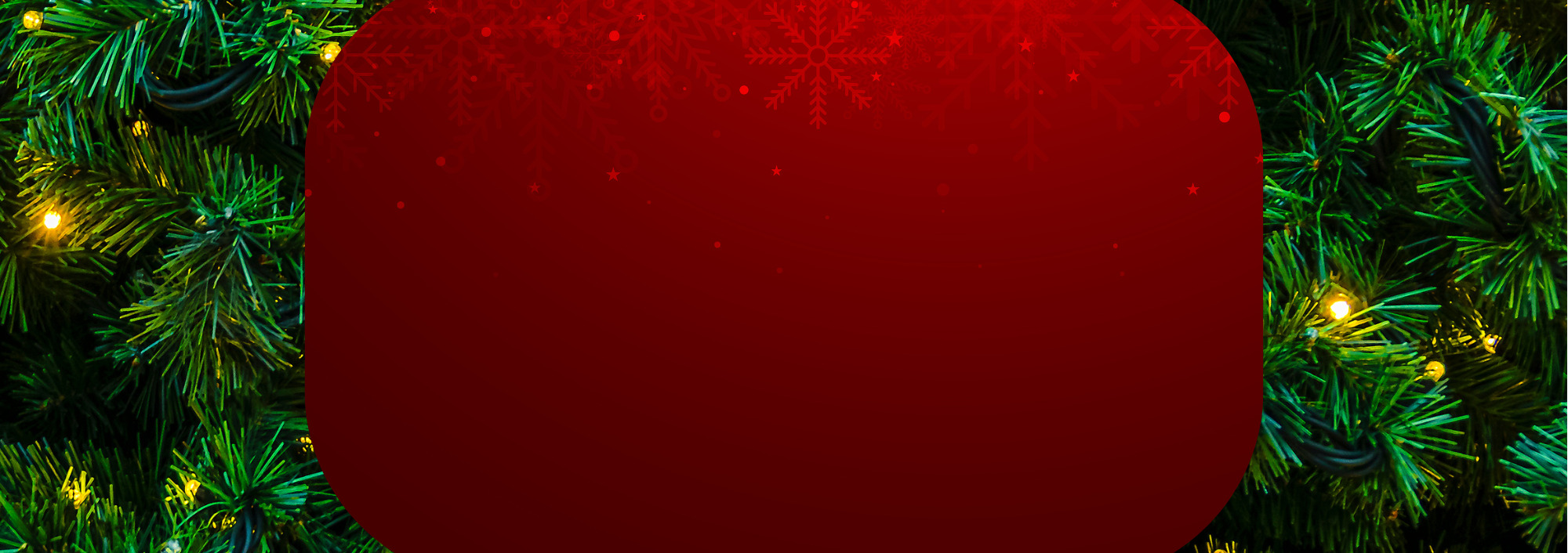 Carrousel - Fêtes 2025